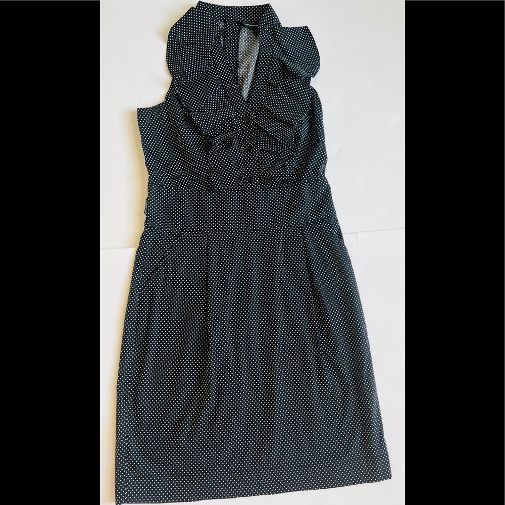 Vintage Express polka Dots Dress